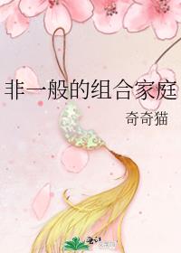 非一般的组合家庭