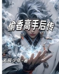 偷香高手后传