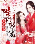 弃妃翻身:陛下请轻宠!