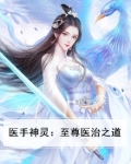 医手神灵:至尊医治之道