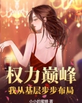 权力巅峰我从基层步步布局全文免费阅读