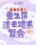 宠妾灭妻?重生后渣夫跪求复合