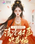公主回国小说