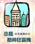 总裁酷帅狂霸拽