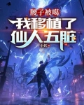 腰子被噶,我移植了仙人五脏