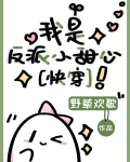 我是反派小甜心（快穿）