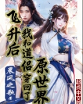 飞升后我和道侣穿回了原世界