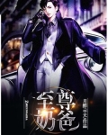 至尊奶爸