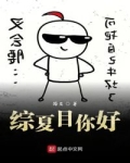 综夏目你好