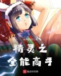 精灵之全能高手