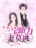 三宝助力妻莫逃百度云